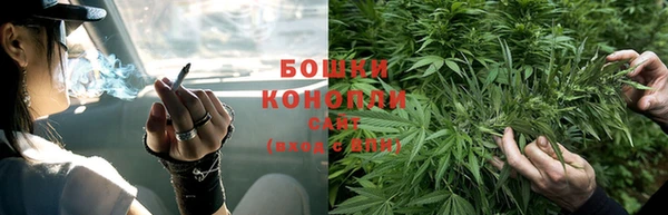 ГАЛЛЮЦИНОГЕННЫЕ ГРИБЫ Балабаново