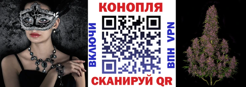 Канабис OG Kush Барабинск